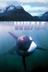 Poster de la película The Whale