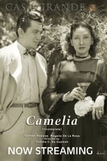 Poster de la película Camelia