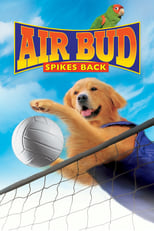 Poster de la película Air Bud: Spikes Back