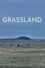Poster de la película Grassland