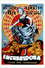 Poster de la película Encubridora