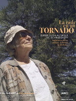 Poster de la película Life in a Tornado