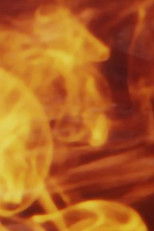 Poster de la película Ruling Star