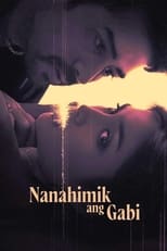 Poster de la película Nanahimik ang Gabi