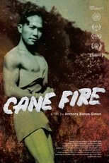 Poster de la película Cane Fire