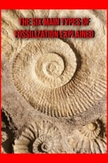 Poster de la película The Six Main Types of Fossilization Explained