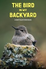 Poster de la película The Bird in My Backyard