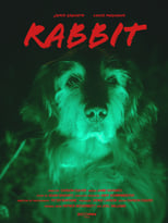 Poster de la película Rabbit