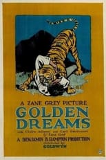 Poster de la película Golden Dreams