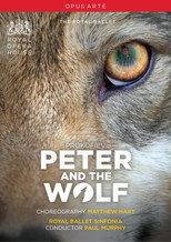 Poster de la película Peter & The Wolf
