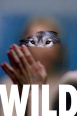 Poster de la película Wild