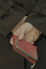 Poster de la película Wallet