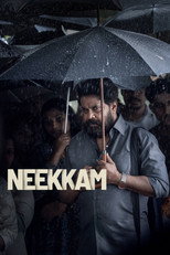 Poster de la película Neekkam