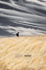 Poster de la película Ronan's Escape