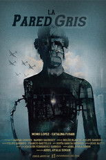 Poster de la película La pared gris