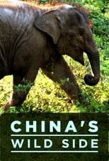 Poster de la serie China's Wild Side