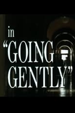 Poster de la película Going Gently