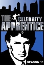 The Celebrity Apprentice