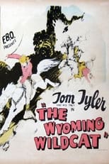Poster de la película The Wyoming Wildcat