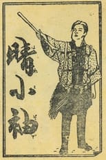 Poster de la película 晴小袖