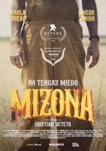 Poster de la película MI ZONA