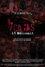 Poster de la película 7 cajas, la historia