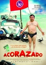 Poster de la película Acorazado