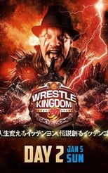Poster de la película NJPW Wrestle Kingdom 14: Night 2