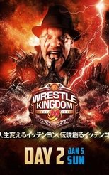 Poster de la película NJPW Wrestle Kingdom 14: Night 2