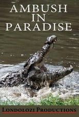 Poster de la película Ambush in Paradise