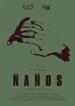 Poster de la película Ñaños