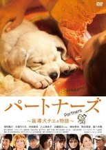 Poster de la película Partners
