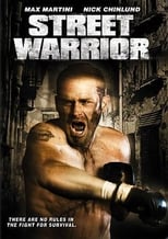 Poster de la película Street Warrior