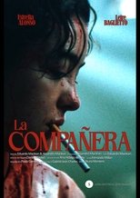 Poster de la película The Classmate