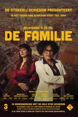 Poster de la película The Family: The Fall