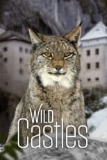 Poster de la serie Wild Castles