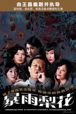 Poster de la serie 暴雨梨花