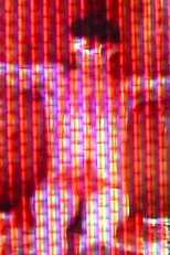 Poster de la película Trieste