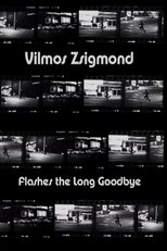 Poster de la película Vilmos Zsigmond Flashes 'The Long Goodbye'