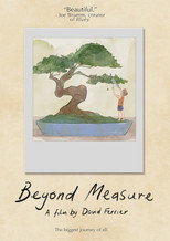 Poster de la película Beyond Measure