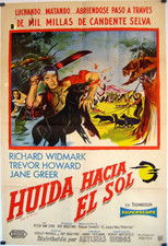 Poster de la película Huida hacia el sol