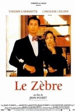 Poster de la película Le Zèbre