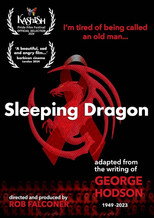 Poster de la película Sleeping Dragon