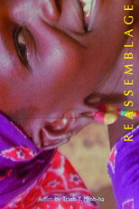 Poster de la película Reassemblage: From the Firelight to the Screen