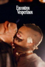 Poster de la película Vespertine Encounters