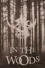 Poster de la película In the Woods
