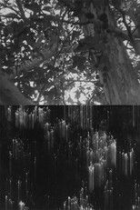 Poster de la película Entrevoir