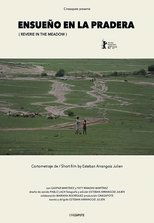 Poster de la película Reverie in the Meadow