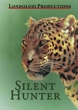 Poster de la película Silent Hunter