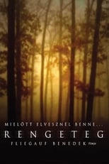 Poster de la película Bosque